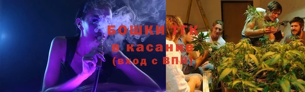 соль ск Ладушкин