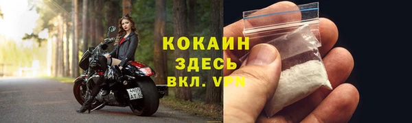 ALPHA PVP Лагань