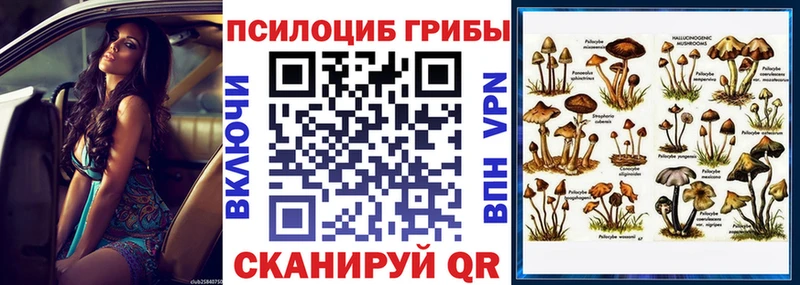 Псилоцибиновые грибы ЛСД  Купить где  Чишмы 
